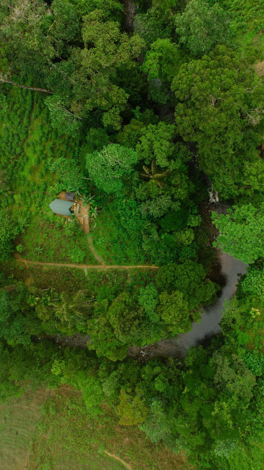 Rainforest Cabin Deniyaya Exterior foto