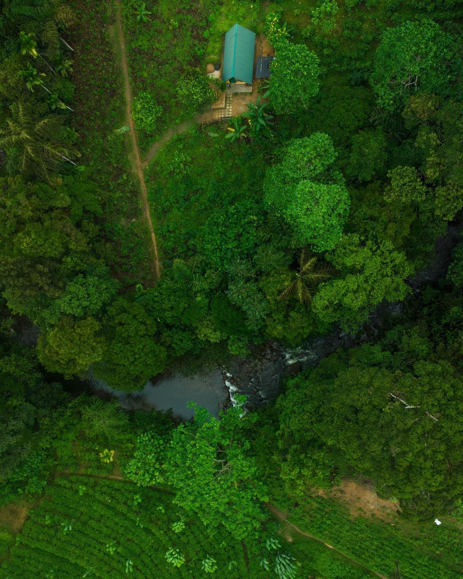 Rainforest Cabin Deniyaya Exterior foto
